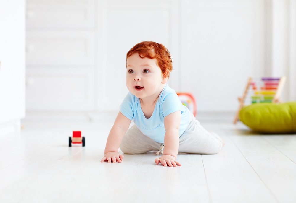 �Թ�Ӥ��,�����Թ�Ӥ������,�Թ�Ӥ���ɹ���